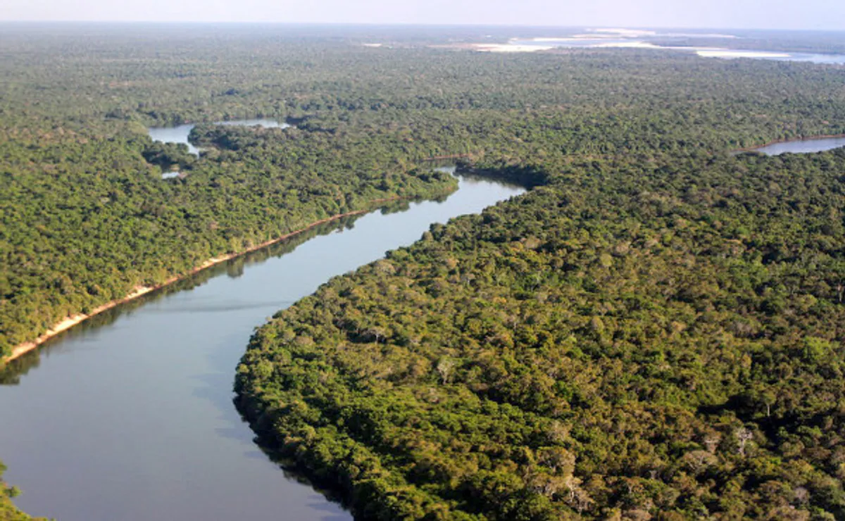 Brigadistas florestais em ação no Parque Estadual do Cantão, Tocantins