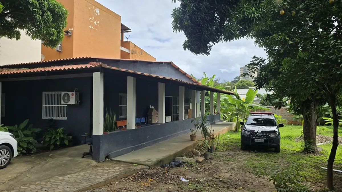 Pitbull com olhar melancólico, simbolizando a vítima de maus-tratos