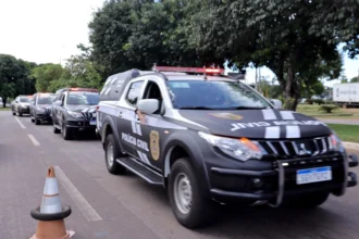 furto de gado Pindorama