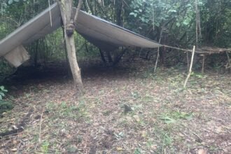 invasão de fazenda em Couto Magalhães TO