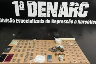 Drogas e arma de fogo apreendidas pela Polícia Civil em Palmas