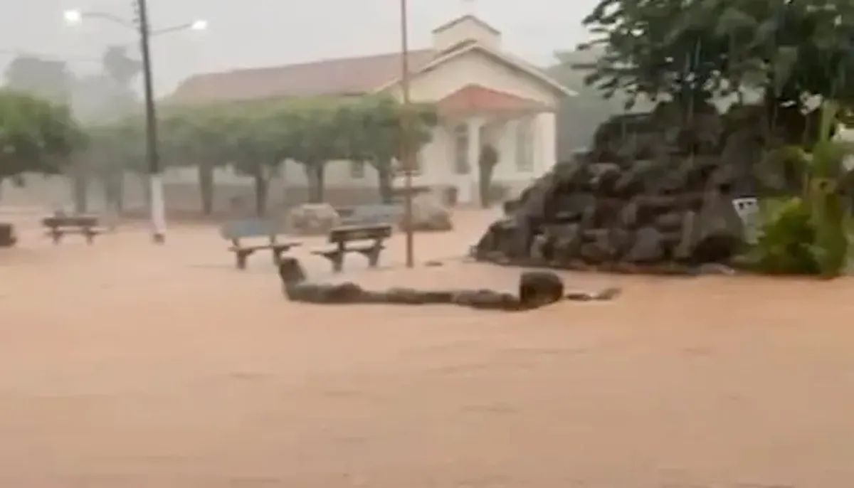 Equipes de resgate atuando em área alagada no Tocantins após fortes chuvas