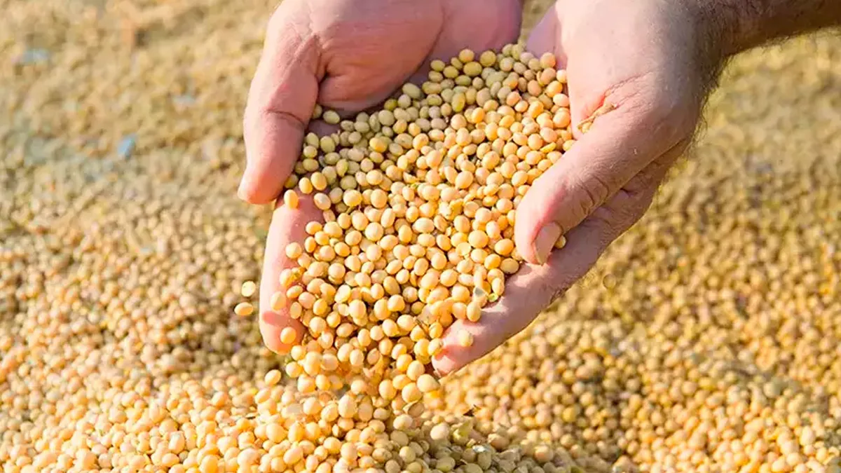 Colheita de soja em larga escala no Tocantins com infraestrutura agroindustrial ao fundo