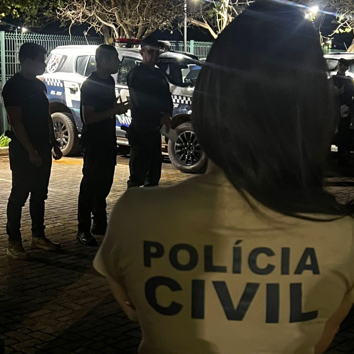 violência doméstica Mato Grosso do Sul