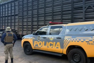 Polícia Militar do Tocantins (PMTO) fiscaliza semirreboque durante Operação Protetor das Divisas e Fronteiras.