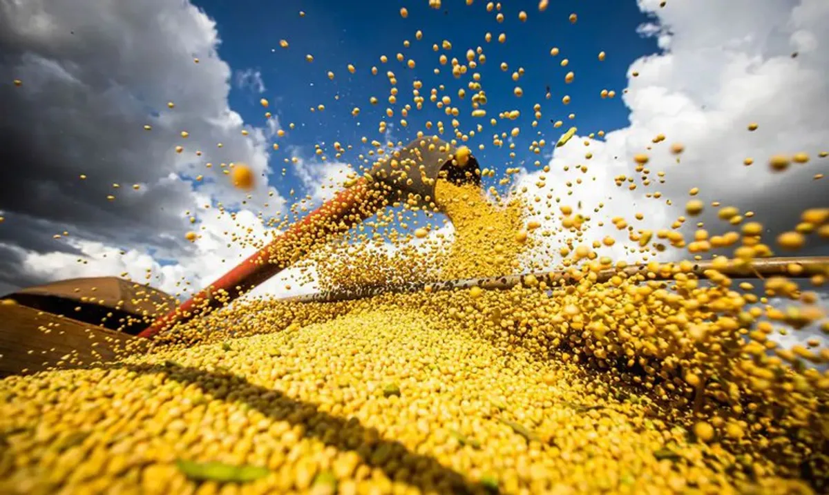 Diversidade e tecnologia no agronegócio do Tocantins, com avicultura, lavouras de grãos e pecuária, sob um céu claro e ensolarado.